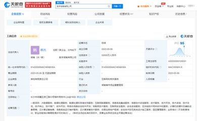 中國電子等成立數(shù)字湖南公司，注冊資本5億，聚焦安全技術(shù)防范系統(tǒng)服務(wù)